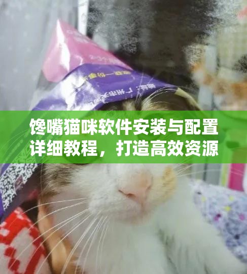 馋嘴猫咪软件安装与配置详细教程，打造高效资源管理的必备指南