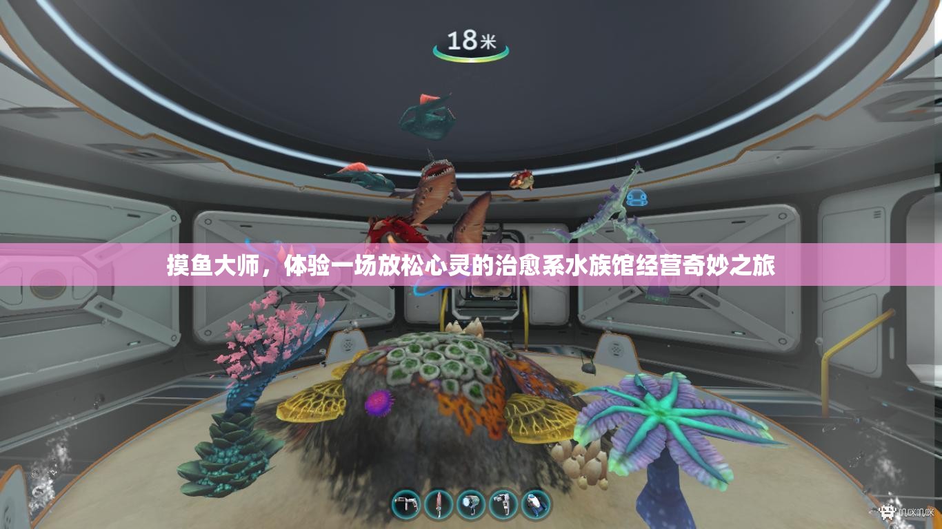 摸鱼大师，体验一场放松心灵的治愈系水族馆经营奇妙之旅