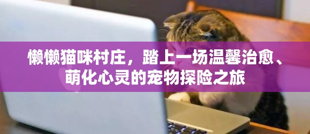 懒懒猫咪村庄，踏上一场温馨治愈、萌化心灵的宠物探险之旅