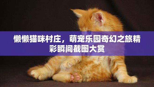 懒懒猫咪村庄，萌宠乐园奇幻之旅精彩瞬间截图大赏