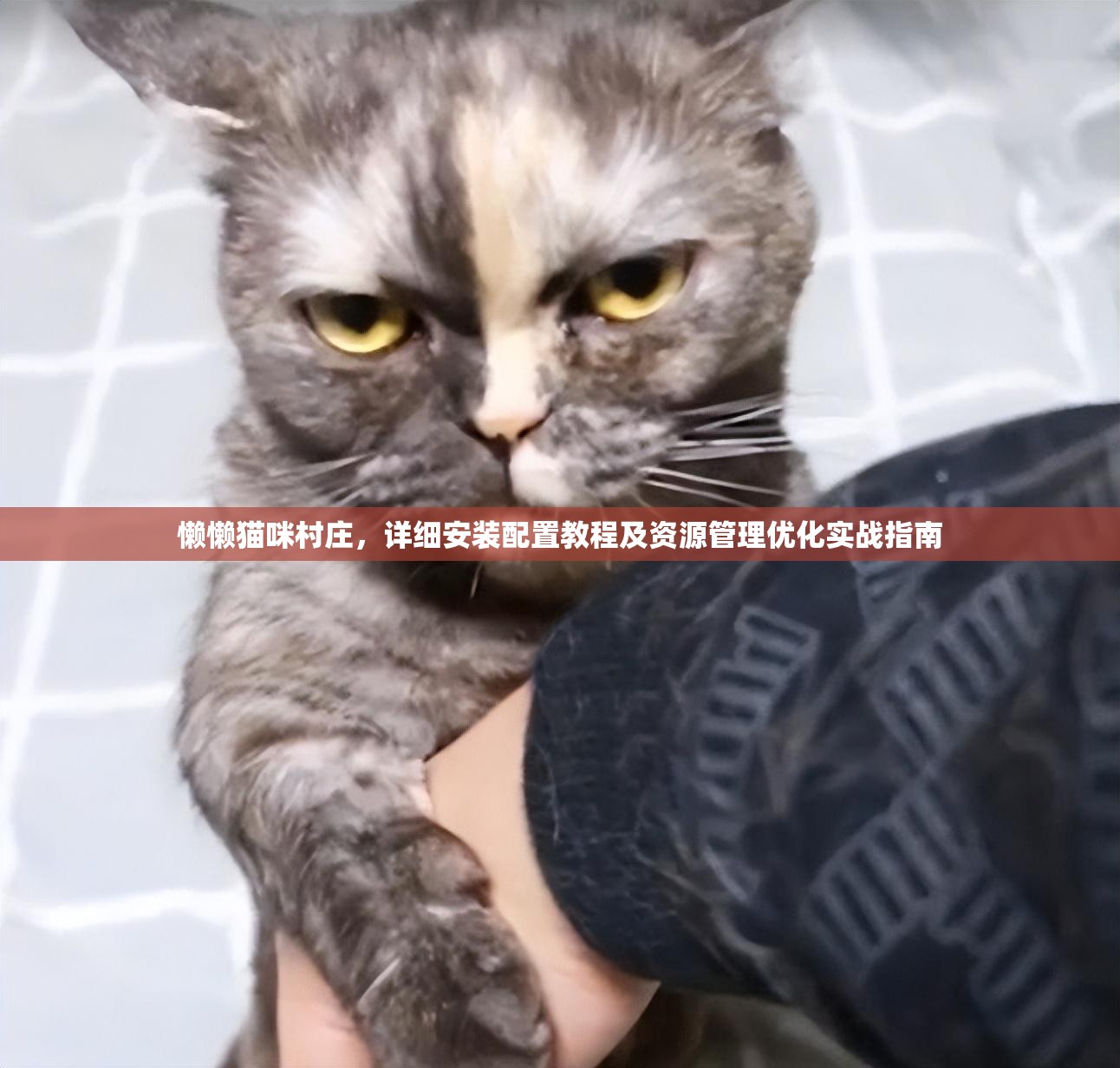 懒懒猫咪村庄，详细安装配置教程及资源管理优化实战指南