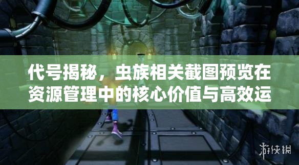 代号揭秘，虫族相关截图预览在资源管理中的核心价值与高效运用策略