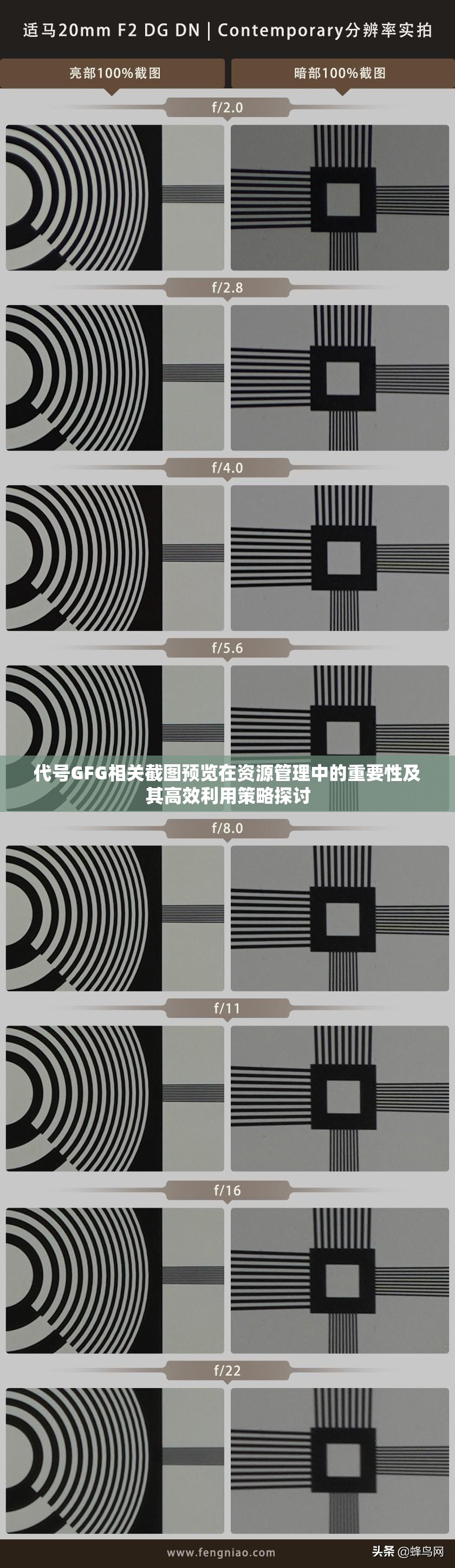 代号GFG相关截图预览在资源管理中的重要性及其高效利用策略探讨