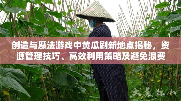 创造与魔法游戏中黄瓜刷新地点揭秘，资源管理技巧、高效利用策略及避免浪费指南