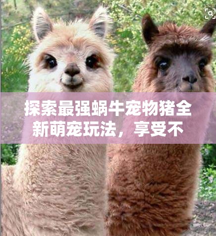 探索最强蜗牛宠物猪全新萌宠玩法，享受不断惊喜的趣味游戏之旅