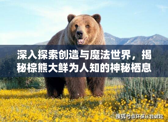 深入探索创造与魔法世界，揭秘棕熊大鲜为人知的神秘栖息地