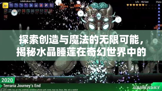探索创造与魔法的无限可能，揭秘水晶睡莲在奇幻世界中的奇妙用途