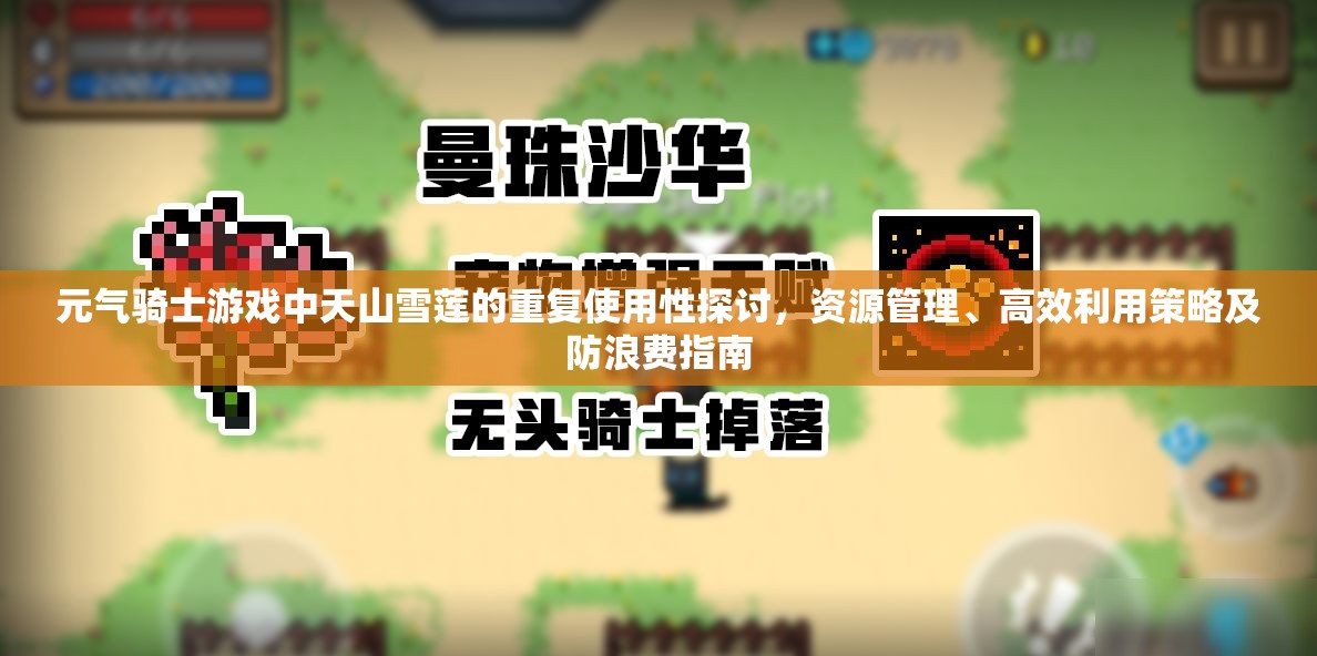 元气骑士游戏中天山雪莲的重复使用性探讨，资源管理、高效利用策略及防浪费指南