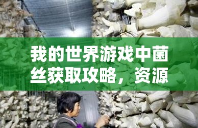 我的世界游戏中菌丝获取攻略，资源管理技巧、高效利用策略及避免浪费方法