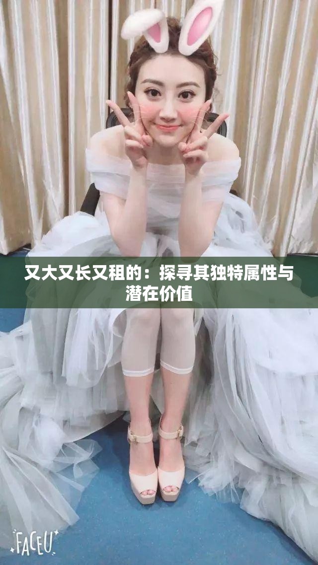 又大又长又租的：探寻其独特属性与潜在价值