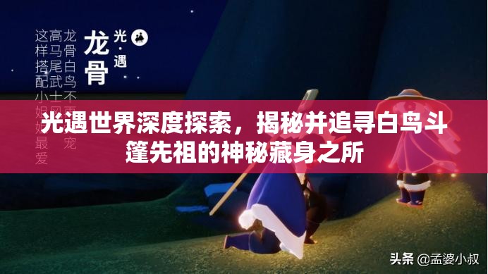 光遇世界深度探索，揭秘并追寻白鸟斗篷先祖的神秘藏身之所
