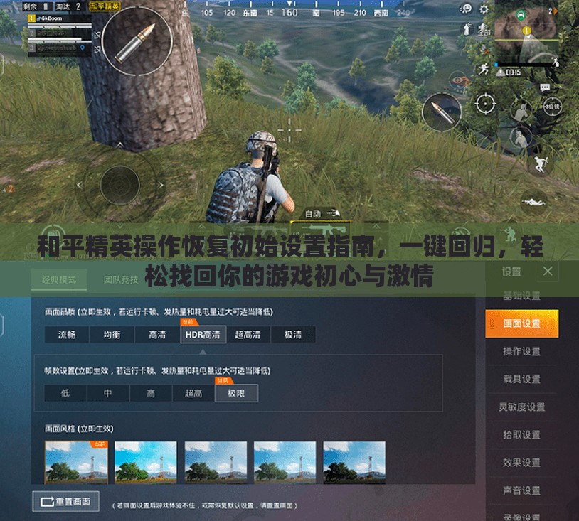 和平精英操作恢复初始设置指南，一键回归，轻松找回你的游戏初心与激情