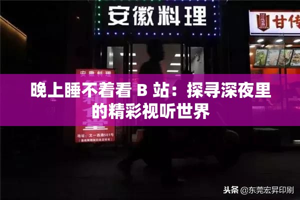 晚上睡不着看 B 站：探寻深夜里的精彩视听世界