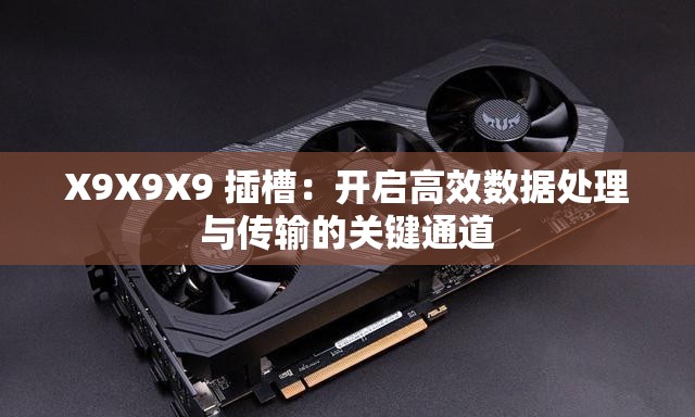 X9X9X9 插槽：开启高效数据处理与传输的关键通道