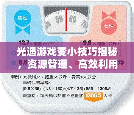 光遇游戏变小技巧揭秘，资源管理、高效利用策略与避免浪费的全方位指南