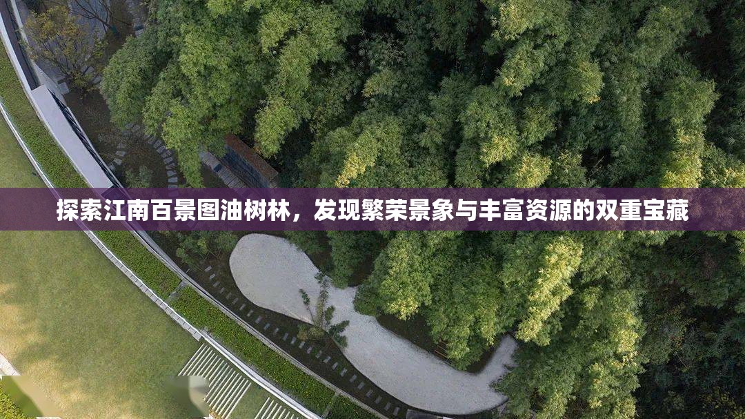 探索江南百景图油树林，发现繁荣景象与丰富资源的双重宝藏