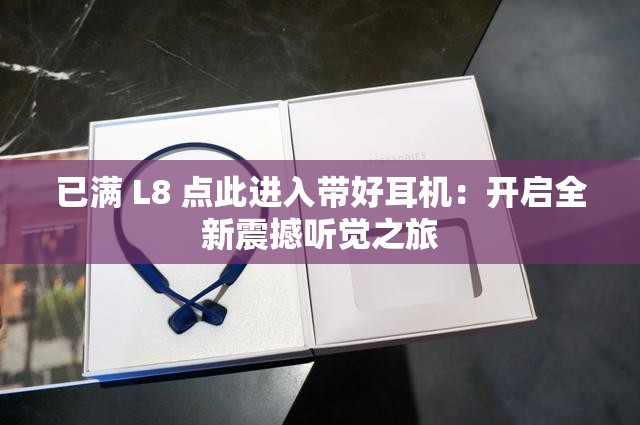 已满 L8 点此进入带好耳机：开启全新震撼听觉之旅