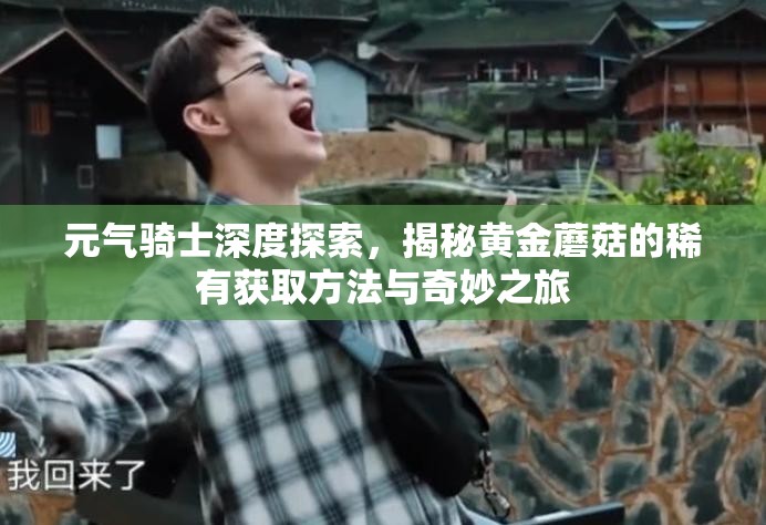 元气骑士深度探索，揭秘黄金蘑菇的稀有获取方法与奇妙之旅