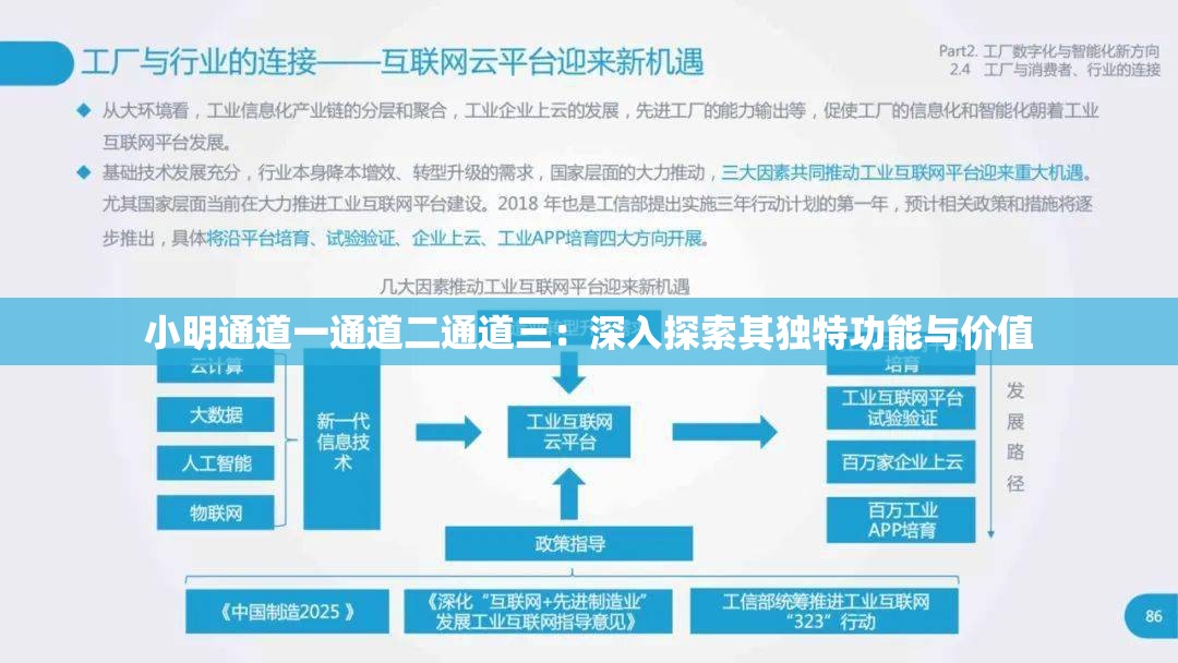 小明通道一通道二通道三：深入探索其独特功能与价值