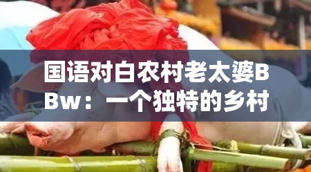国语对白农村老太婆BBw：一个独特的乡村人物形象描绘