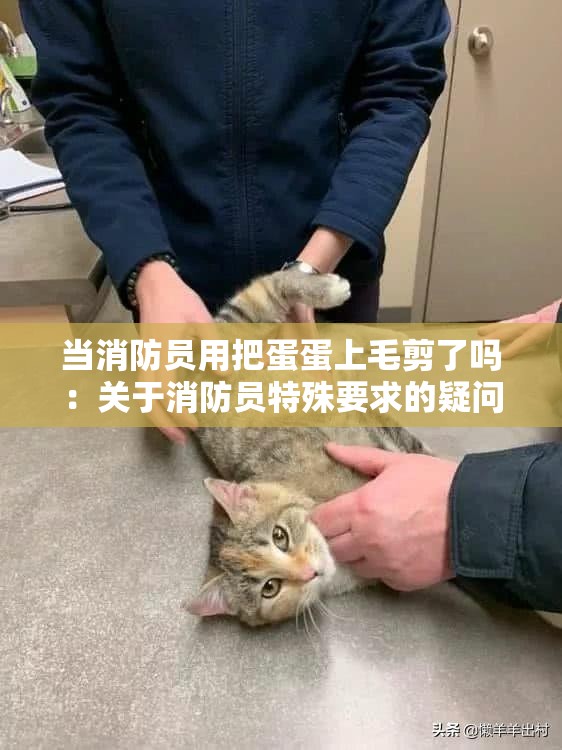 当消防员用把蛋蛋上毛剪了吗：关于消防员特殊要求的疑问