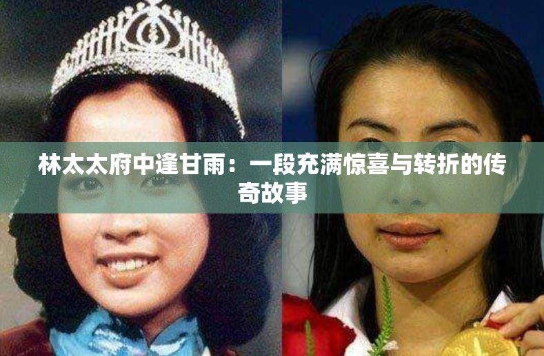 林太太府中逢甘雨：一段充满惊喜与转折的传奇故事