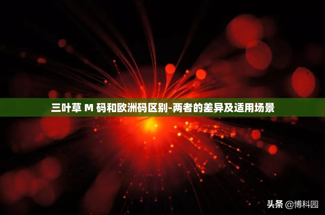 三叶草 M 码和欧洲码区别-两者的差异及适用场景