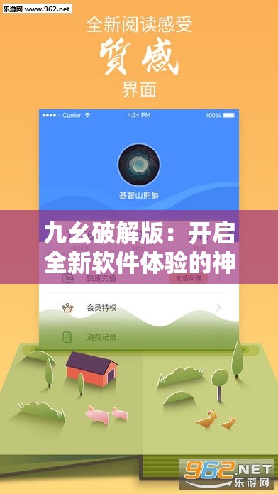 九幺破解版：开启全新软件体验的神秘之门