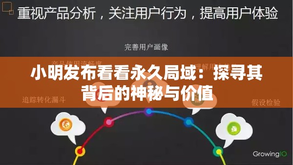小明发布看看永久局域：探寻其背后的神秘与价值