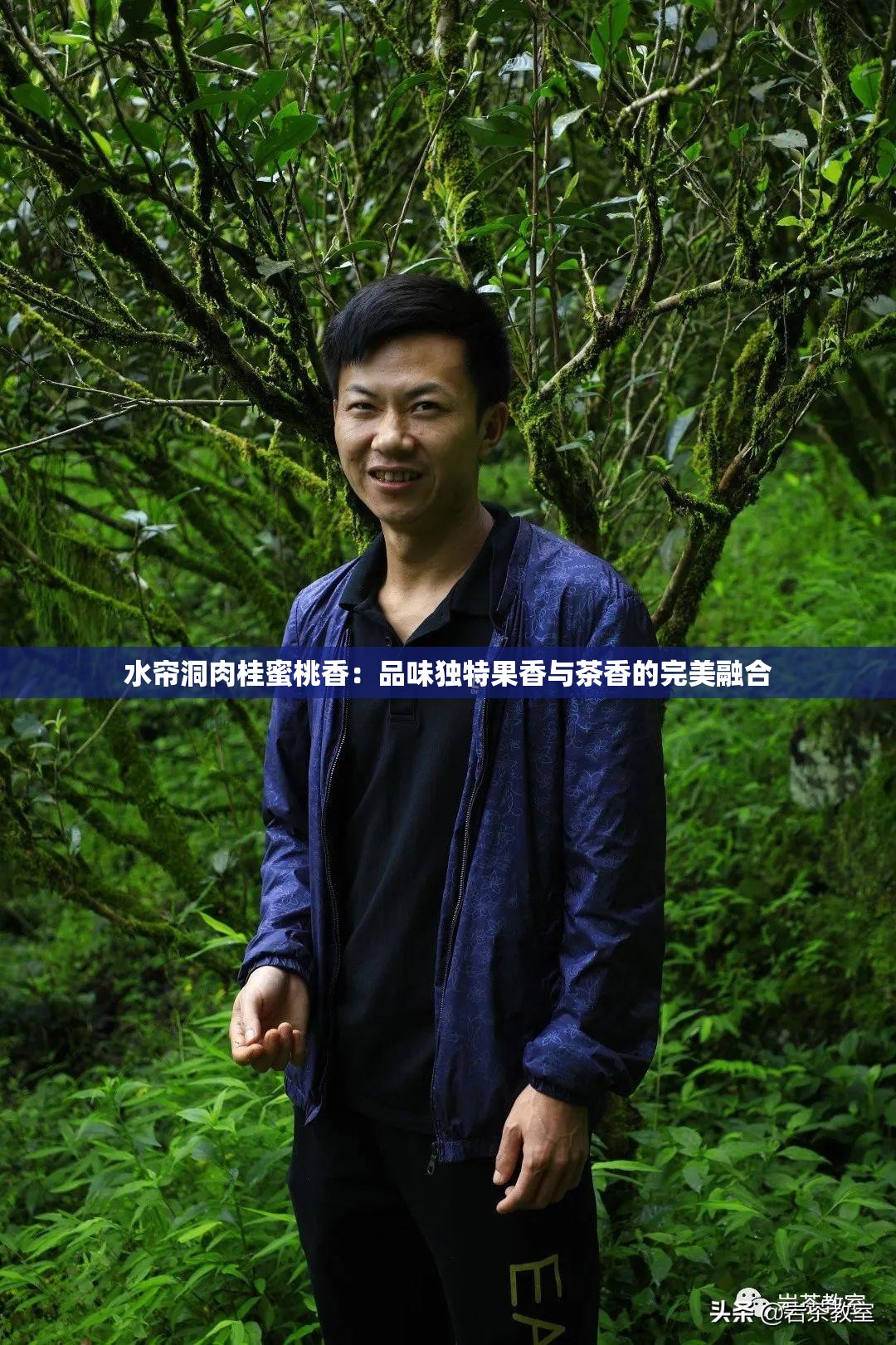 水帘洞肉桂蜜桃香：品味独特果香与茶香的完美融合