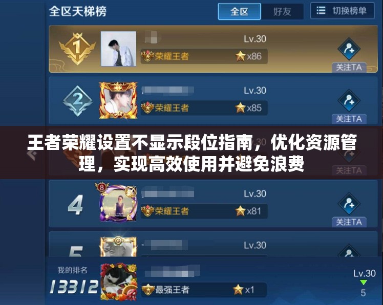王者荣耀设置不显示段位指南，优化资源管理，实现高效使用并避免浪费