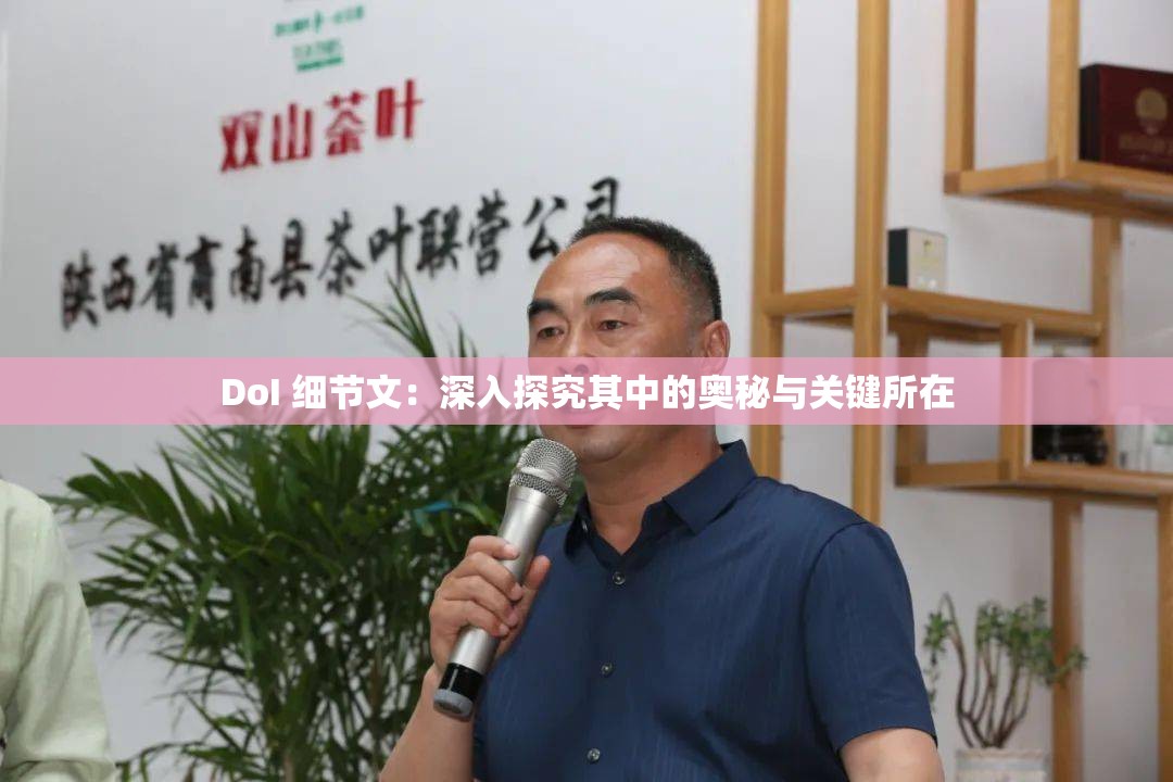 DoI 细节文：深入探究其中的奥秘与关键所在