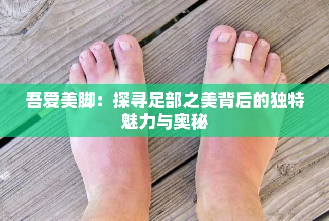 吾爱美脚：探寻足部之美背后的独特魅力与奥秘