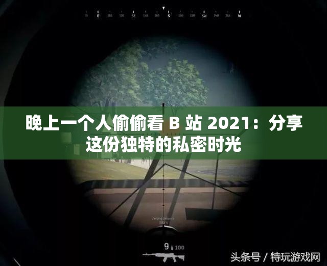 晚上一个人偷偷看 B 站 2021：分享这份独特的私密时光