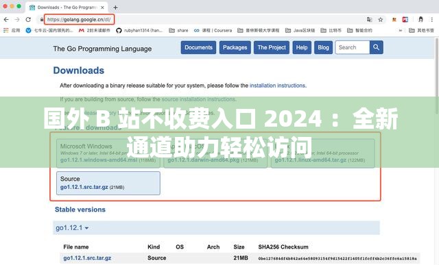 国外 B 站不收费入口 2024 ：全新通道助力轻松访问