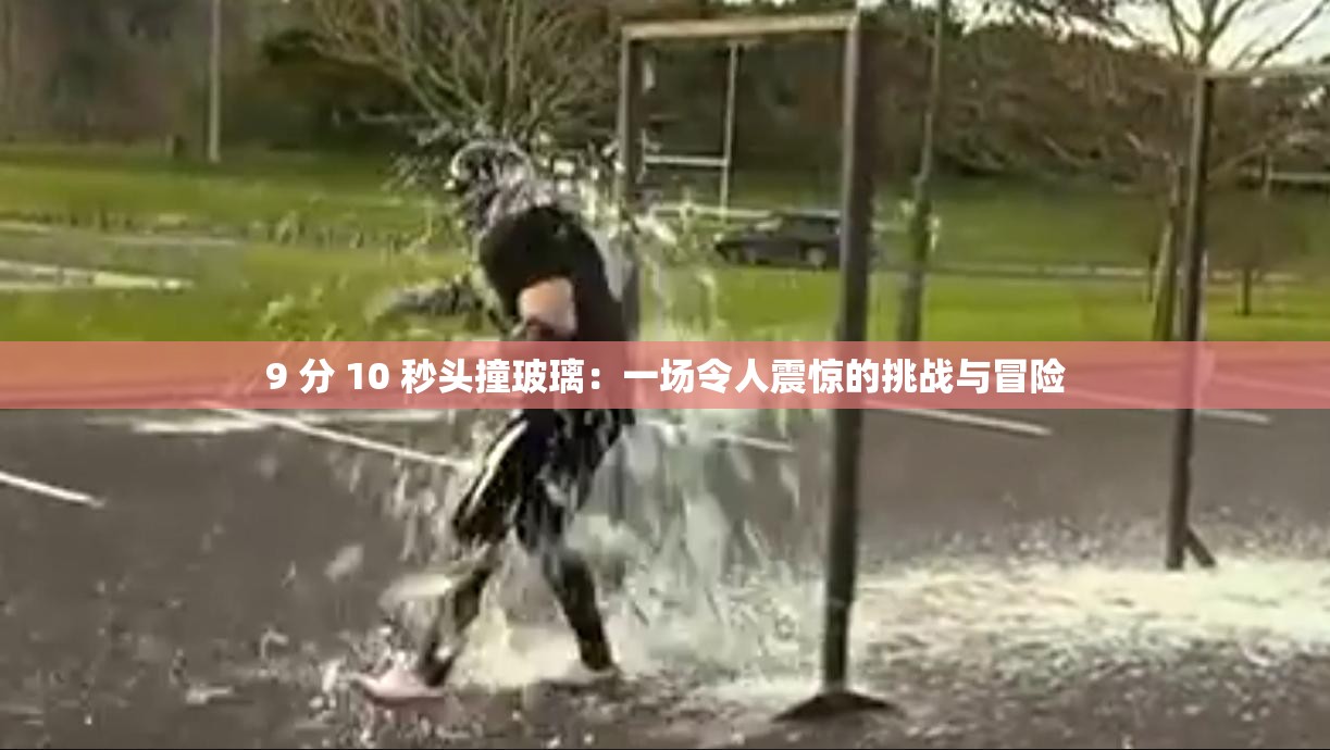 9 分 10 秒头撞玻璃：一场令人震惊的挑战与冒险