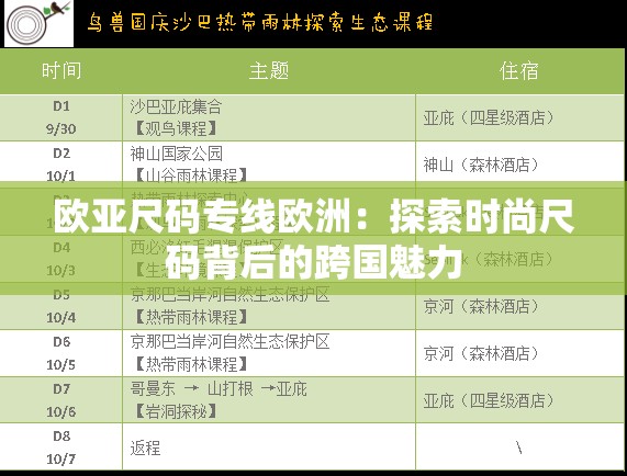 欧亚尺码专线欧洲：探索时尚尺码背后的跨国魅力