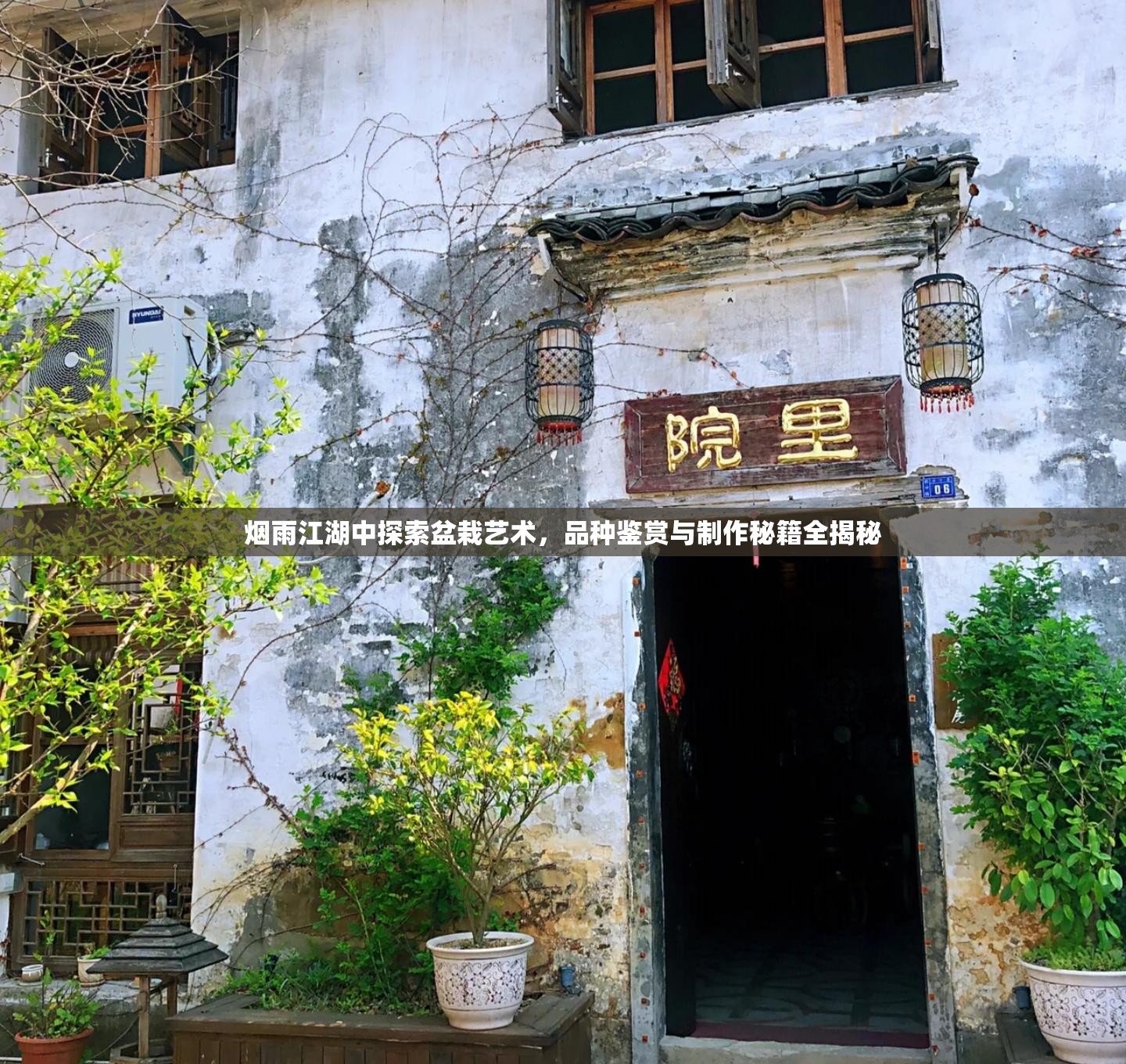 烟雨江湖中探索盆栽艺术，品种鉴赏与制作秘籍全揭秘