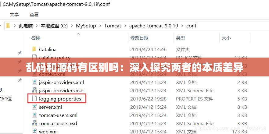 乱码和源码有区别吗：深入探究两者的本质差异