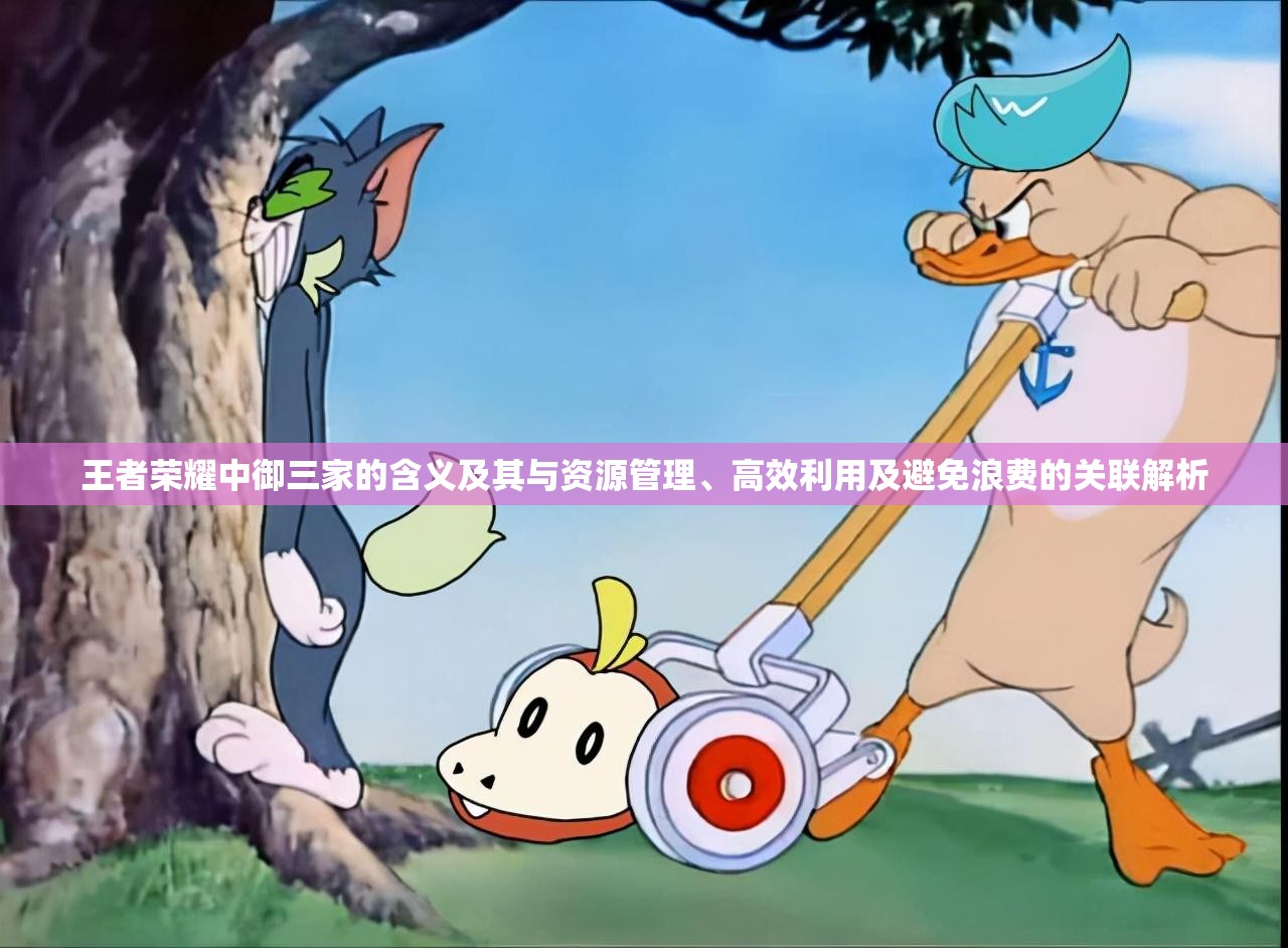 王者荣耀中御三家的含义及其与资源管理、高效利用及避免浪费的关联解析