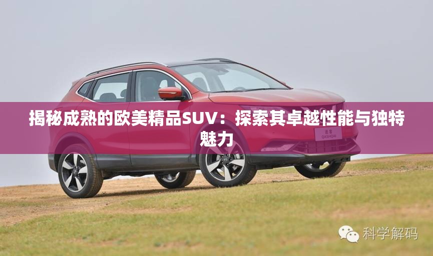 揭秘成熟的欧美精品SUV：探索其卓越性能与独特魅力