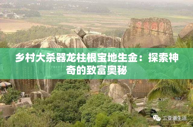 乡村大杀器龙柱根宝地生金：探索神奇的致富奥秘