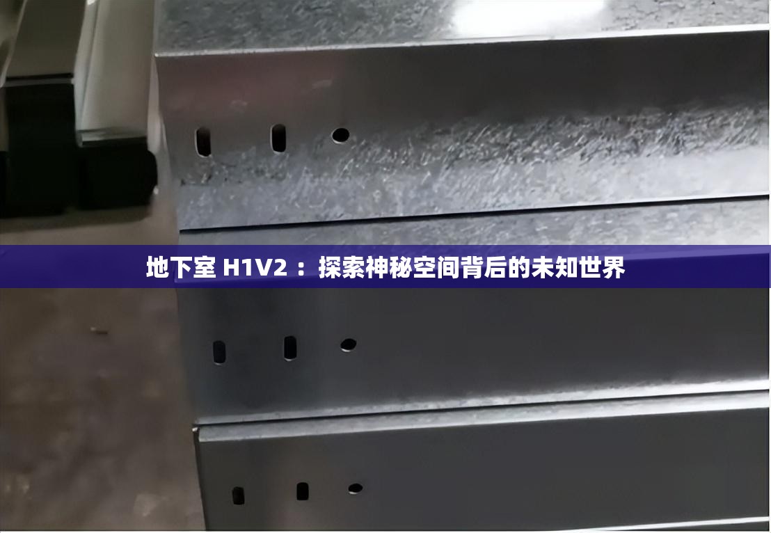 地下室 H1V2 ：探索神秘空间背后的未知世界