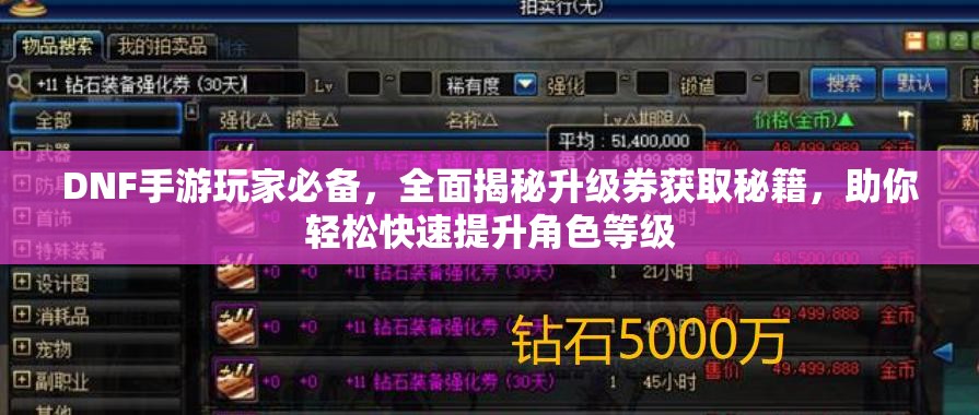 DNF手游玩家必备，全面揭秘升级券获取秘籍，助你轻松快速提升角色等级