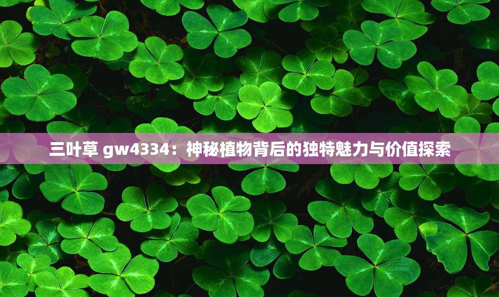 三叶草 gw4334：神秘植物背后的独特魅力与价值探索