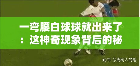 一弯腰白球球就出来了：这神奇现象背后的秘密