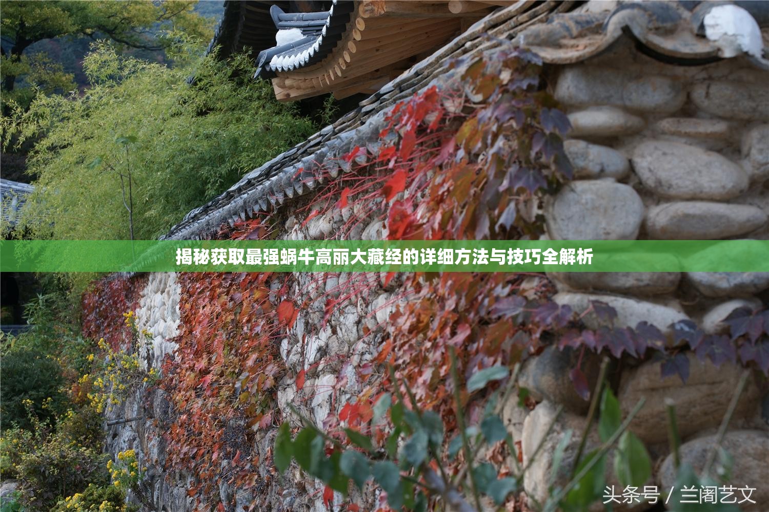 揭秘获取最强蜗牛高丽大藏经的详细方法与技巧全解析