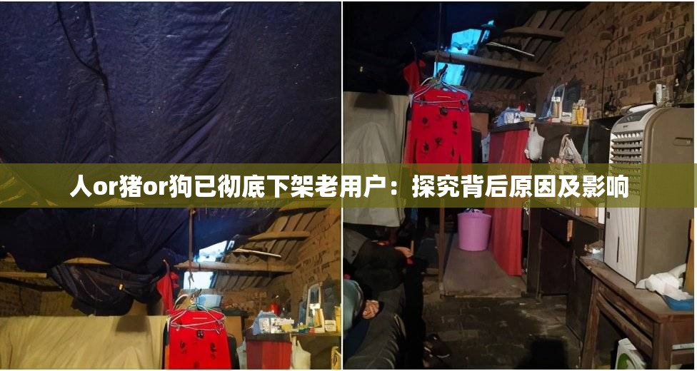人or猪or狗已彻底下架老用户：探究背后原因及影响