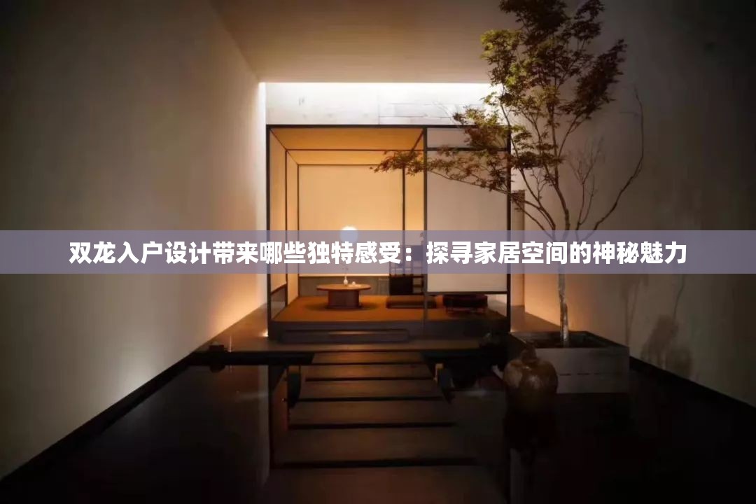 双龙入户设计带来哪些独特感受：探寻家居空间的神秘魅力