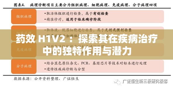 药效 H1V2 ：探索其在疾病治疗中的独特作用与潜力